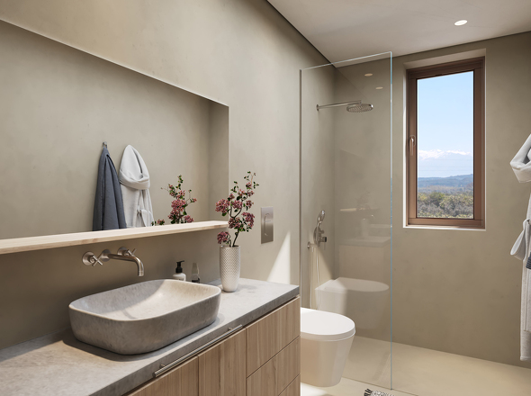 Olive Courtyard Collection