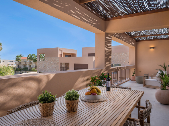 Olive Courtyard Collection