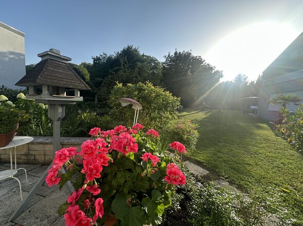 Terrasse und Garten