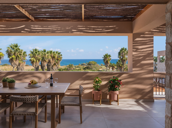 Olive Courtyard Collection