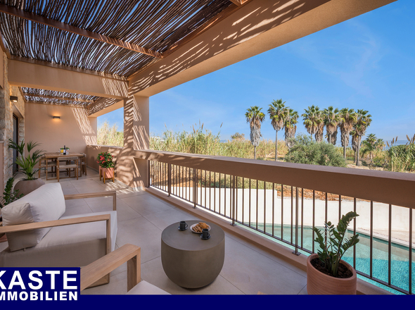 Olive Courtyard Collection 004