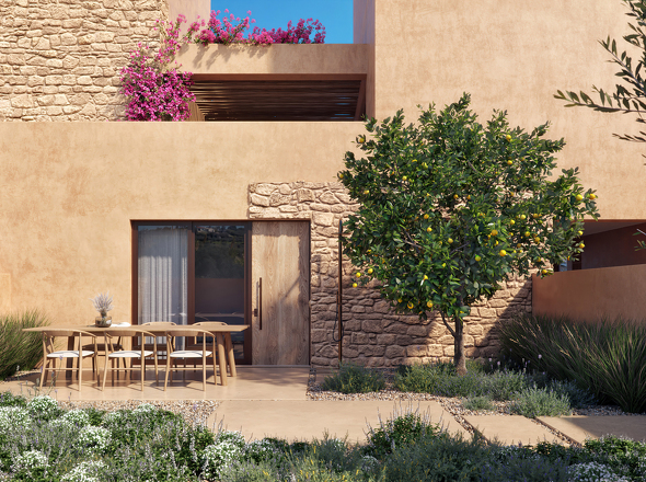 Olive Courtyard Collection