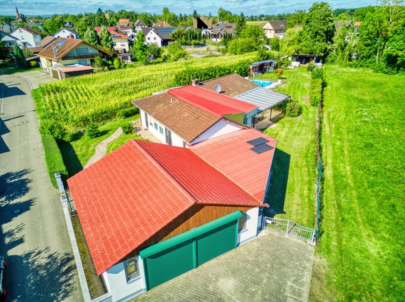 an Wiese und Bachlauf