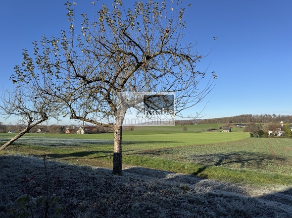 Herrlicher Ausblick!