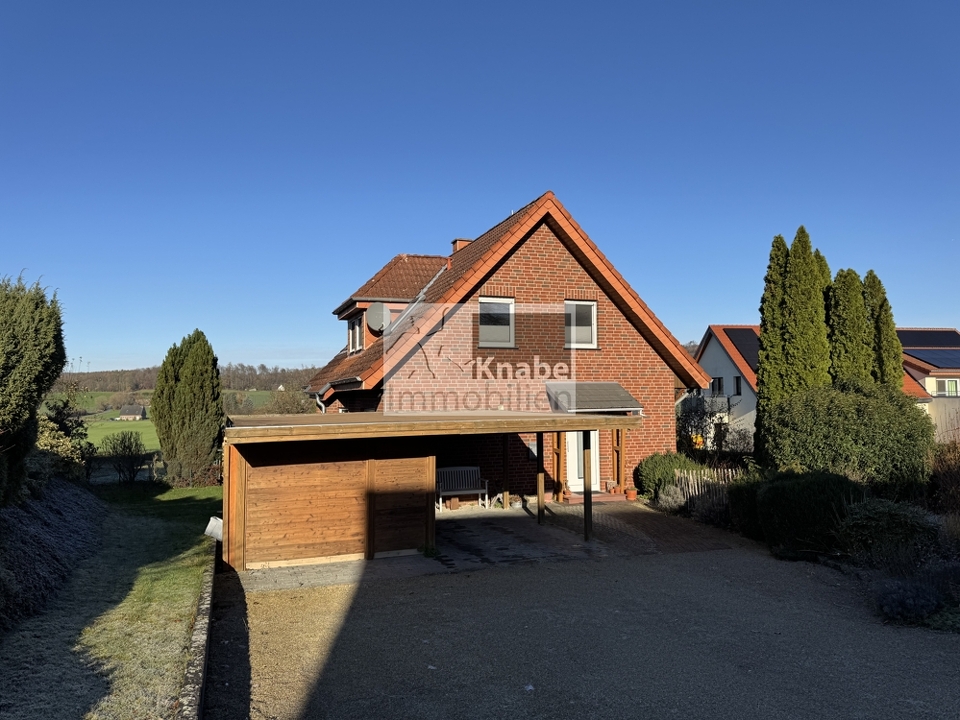 Hofeinfahrt mit Carport