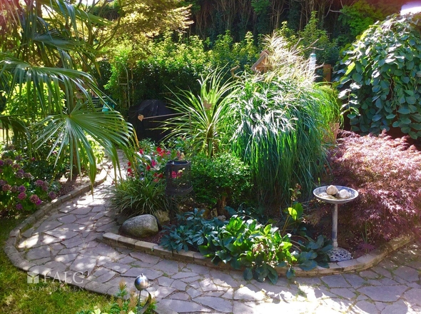 Garten Bild 3