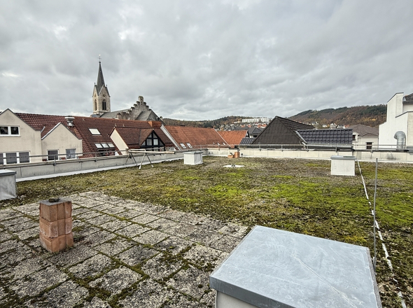 Dach / Ausbaufläche 