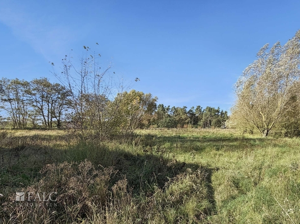 Grundstück Blick in Südwesten