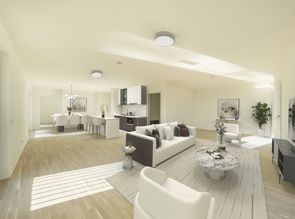 Einrichtungsbeispiel offene Küche/ Wohnbereich