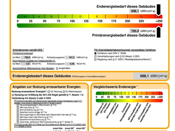 Energieausweis-Auszug