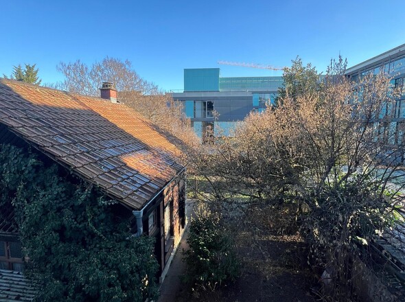 Blick auf den Garten