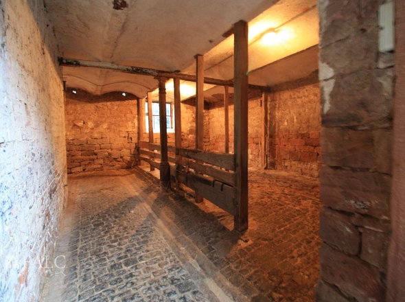 Scheune - Tierstellplätze