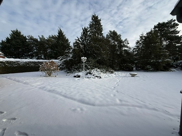 PHOTO-2026-01-10-14-03-24[4]