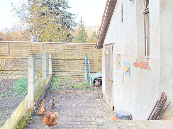 Hühnerhof