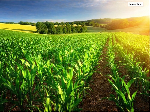 Ackerland_Musterfoto