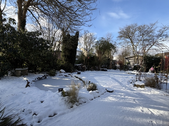 Toll angelegter Garten mit kleinem Teich