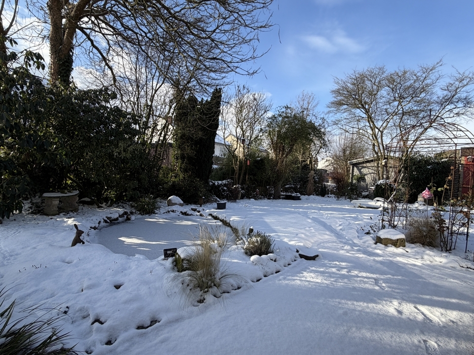Toll angelegter Garten mit kleinem Teich