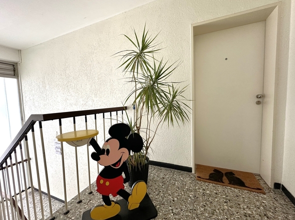 Gepflegtes Treppenhaus/Wohnungseingang