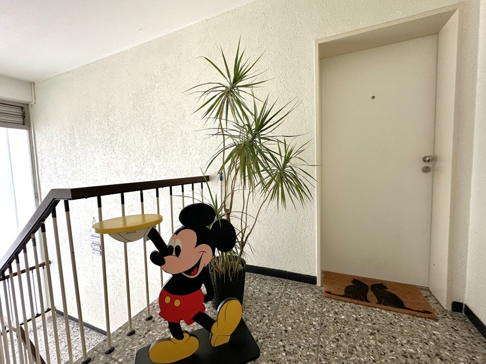 Gepflegtes Treppenhaus/Wohnungseingang