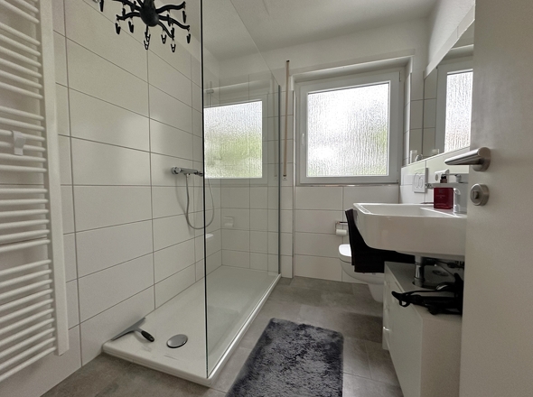 Modernes Tageslicht-Duschbad