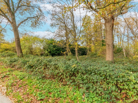 Ansicht von der Straße