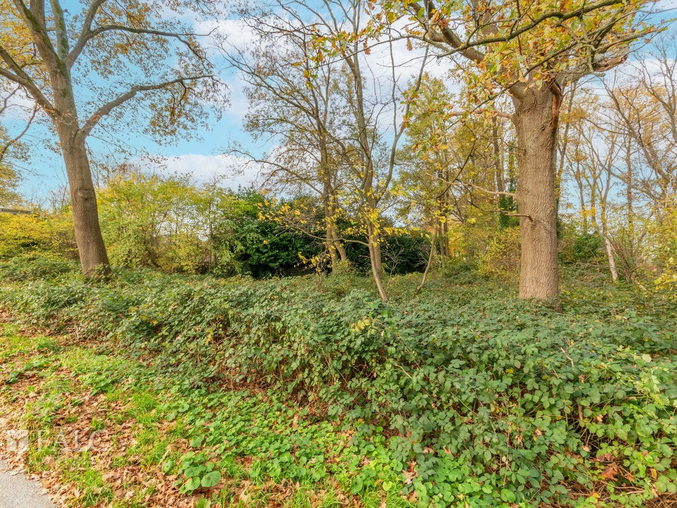 Ansicht von der Straße