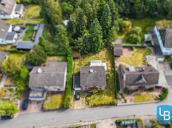 Nahaufnahme aus der Vogelperspektive