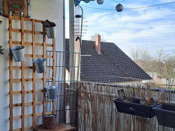 WhatsApp Image 2025-12-18 at 12.18.22 (1)