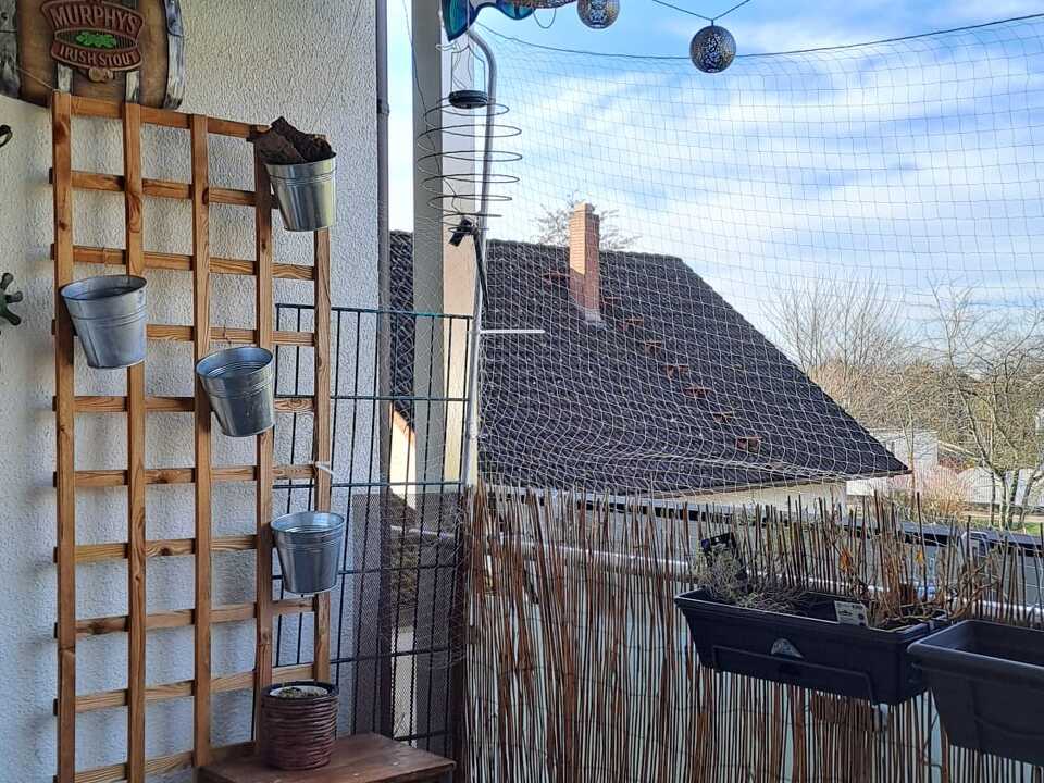 WhatsApp Image 2025-12-18 at 12.18.22 (1)