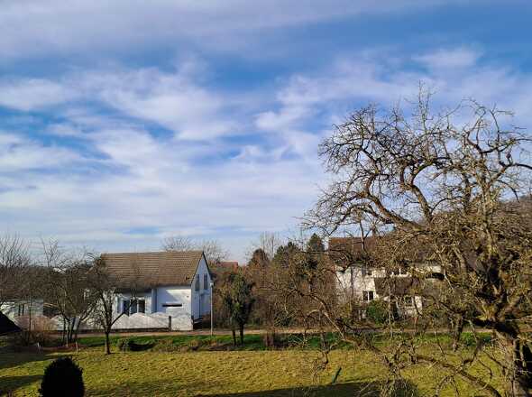 WhatsApp Image 2025-12-18 at 12.18.21 (3)