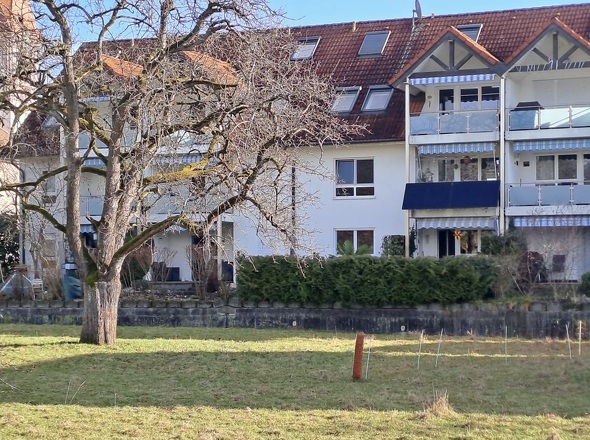 WhatsApp Image 2025-12-18 at 12.18.15 (1)