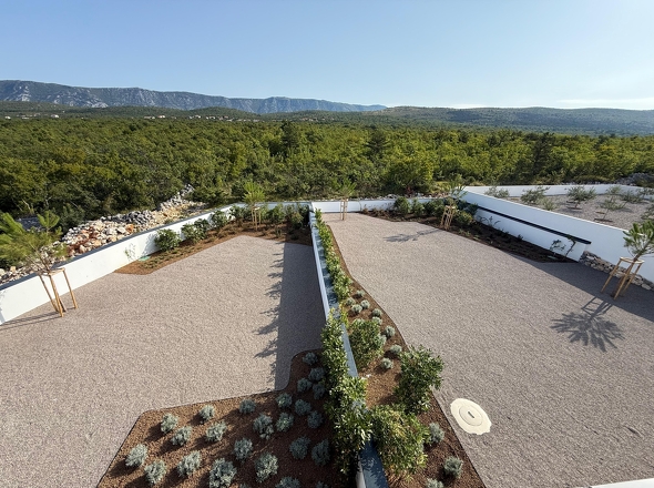 WhatsApp Image 2026-01-15 at 17.51.17-1