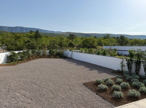 WhatsApp Image 2026-01-15 at 17.51.00