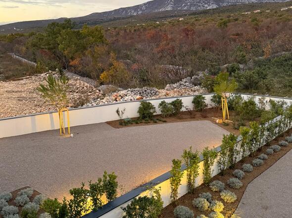 WhatsApp Image 2026-01-15 at 17.51.20-1