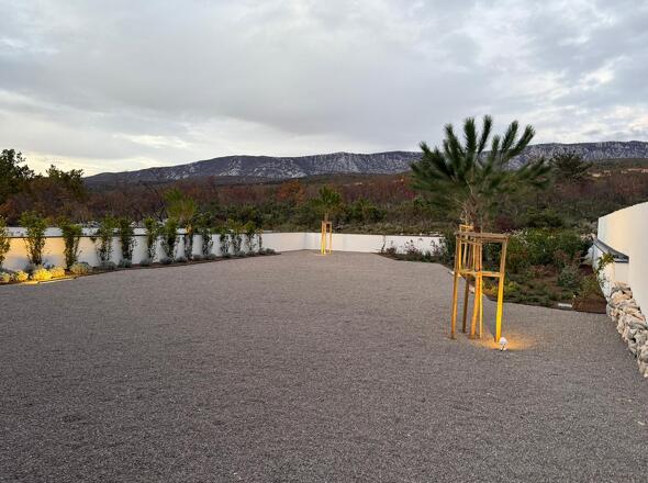 WhatsApp Image 2026-01-15 at 17.51.25