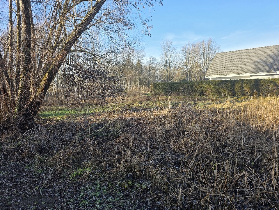Ansicht von der linken Grundstücksecke