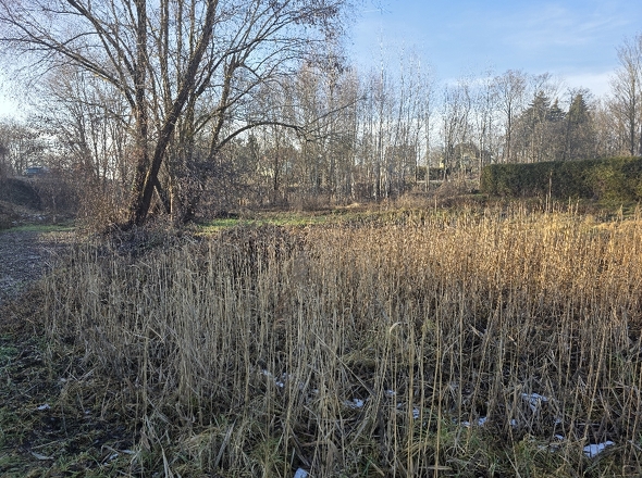 Ansicht von der linken Seite