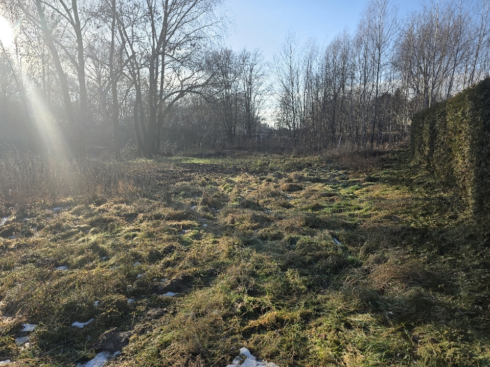 Ansicht von der rechten Grundstücksecke