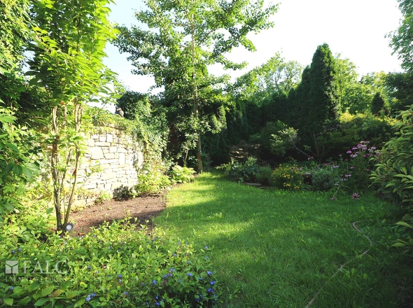 Garten noch mit Thuja-Hecke