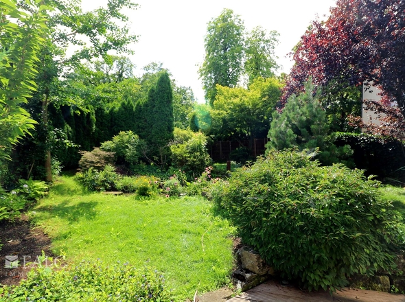 Garten noch mit Thuja-Hecke