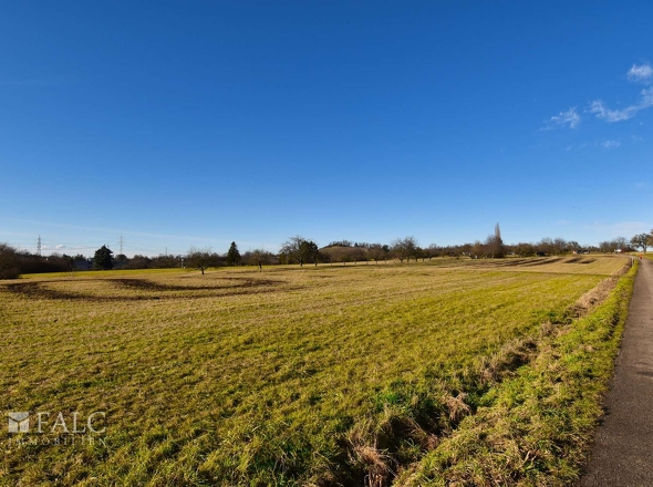 Spazieren am Feldrand