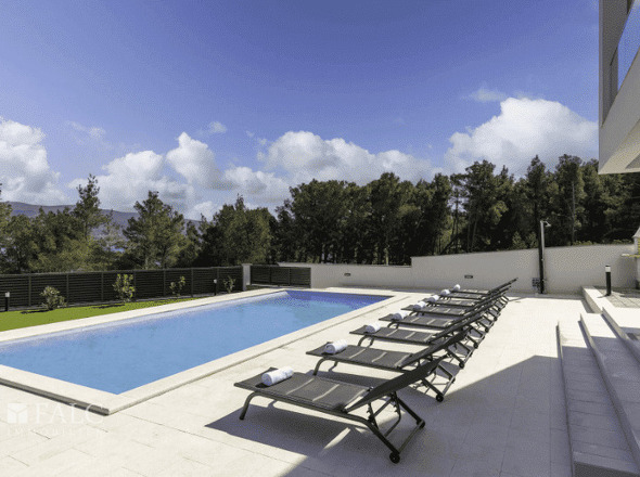 Zeit für ein Sonnenbad