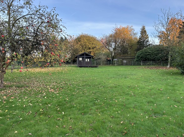 Hier ist genug Platz zum Toben!