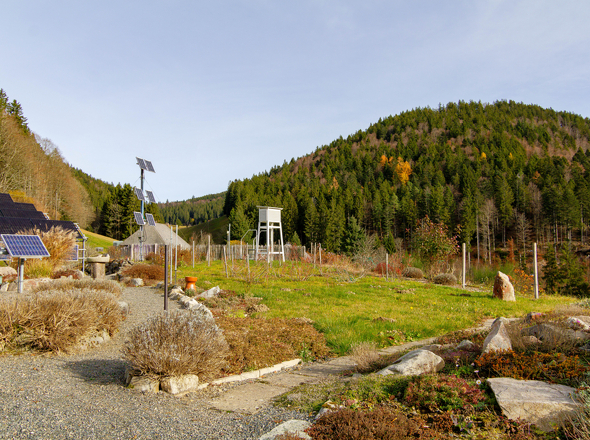 Großzügiger Garten