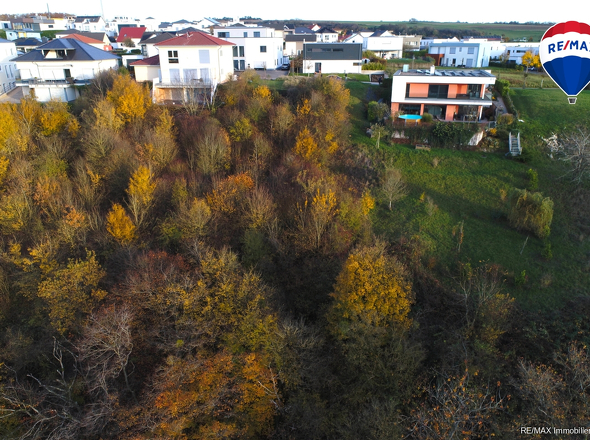 RE/MAX Immobilien DeLux Grundstück Wincheringen