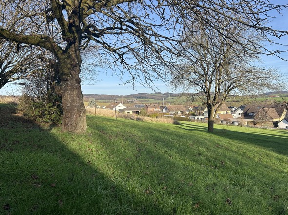 Ihr neuer Platz für den Sommer mit Weitblick!