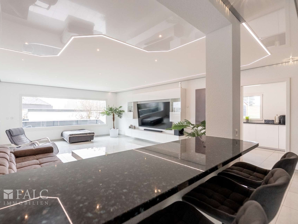 EG Wohnbereich Theke 2