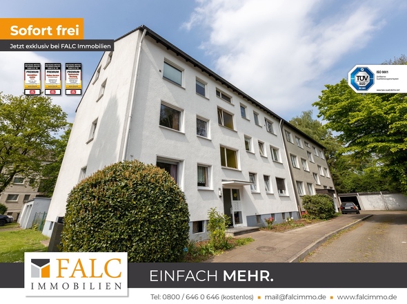 a905b326-570a-4e1b-b9f5-7366ba56f31b_original