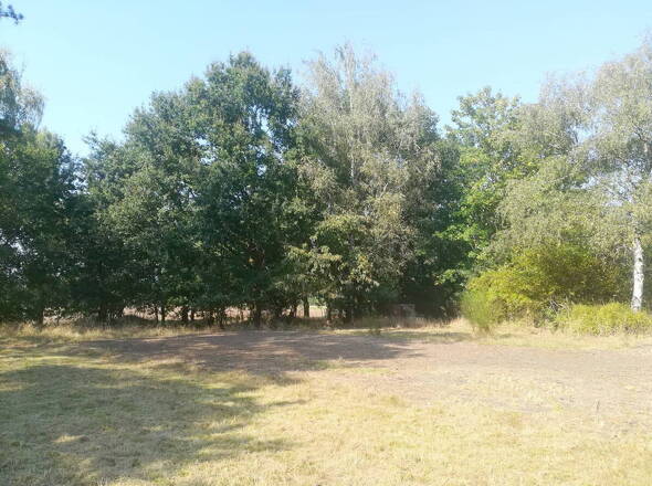 Gut gepflegte Außenanlagen