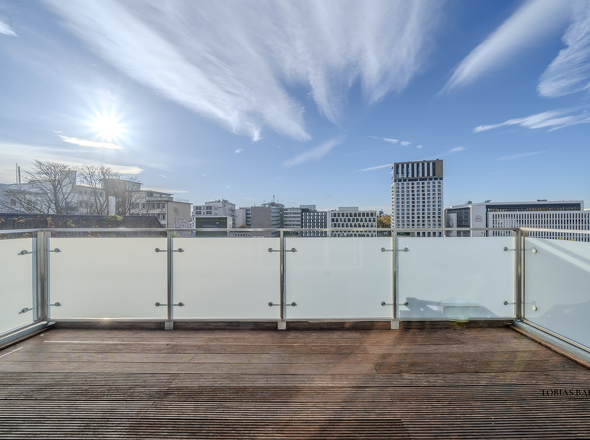 große Dachterrasse (Wohung rechts)